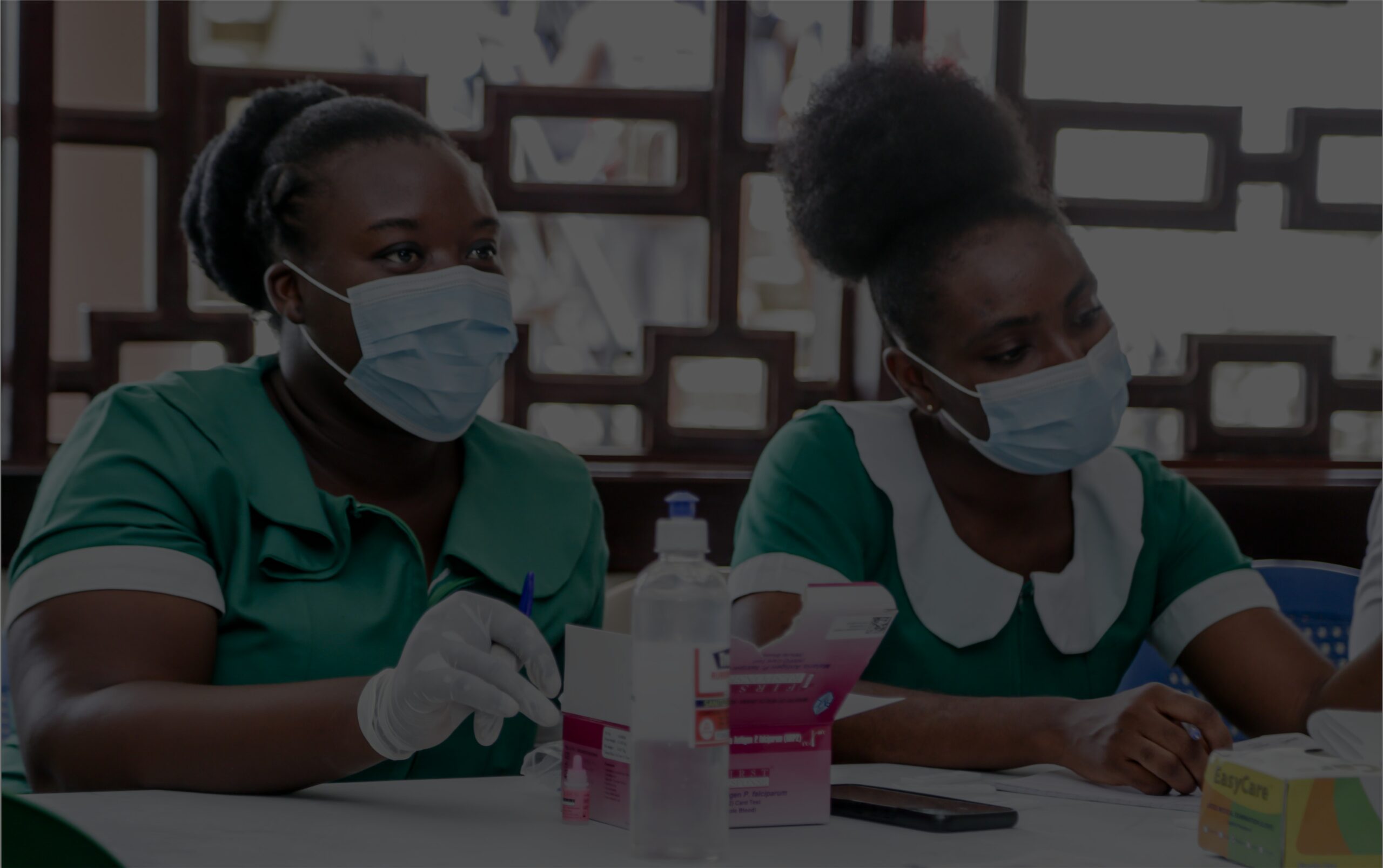 GCNM community malaria action
